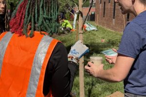 treeplanting3 treeplanting3