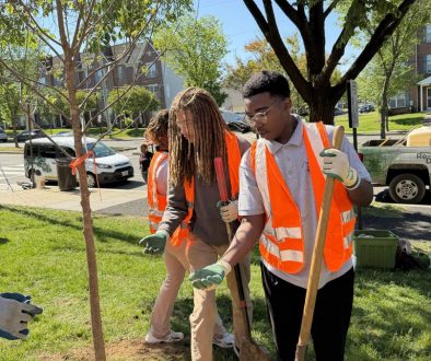 treeplanting6