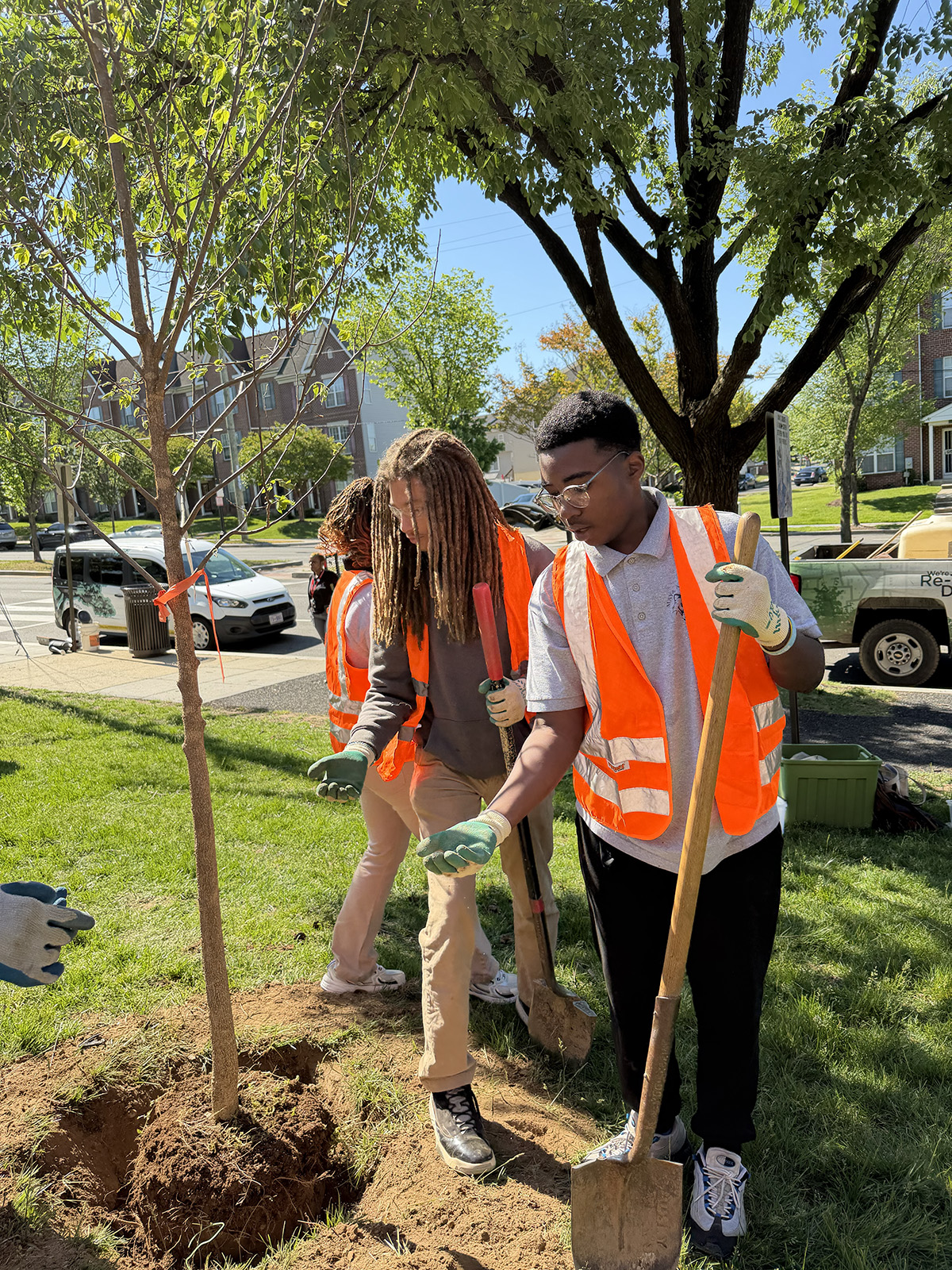 treeplanting6